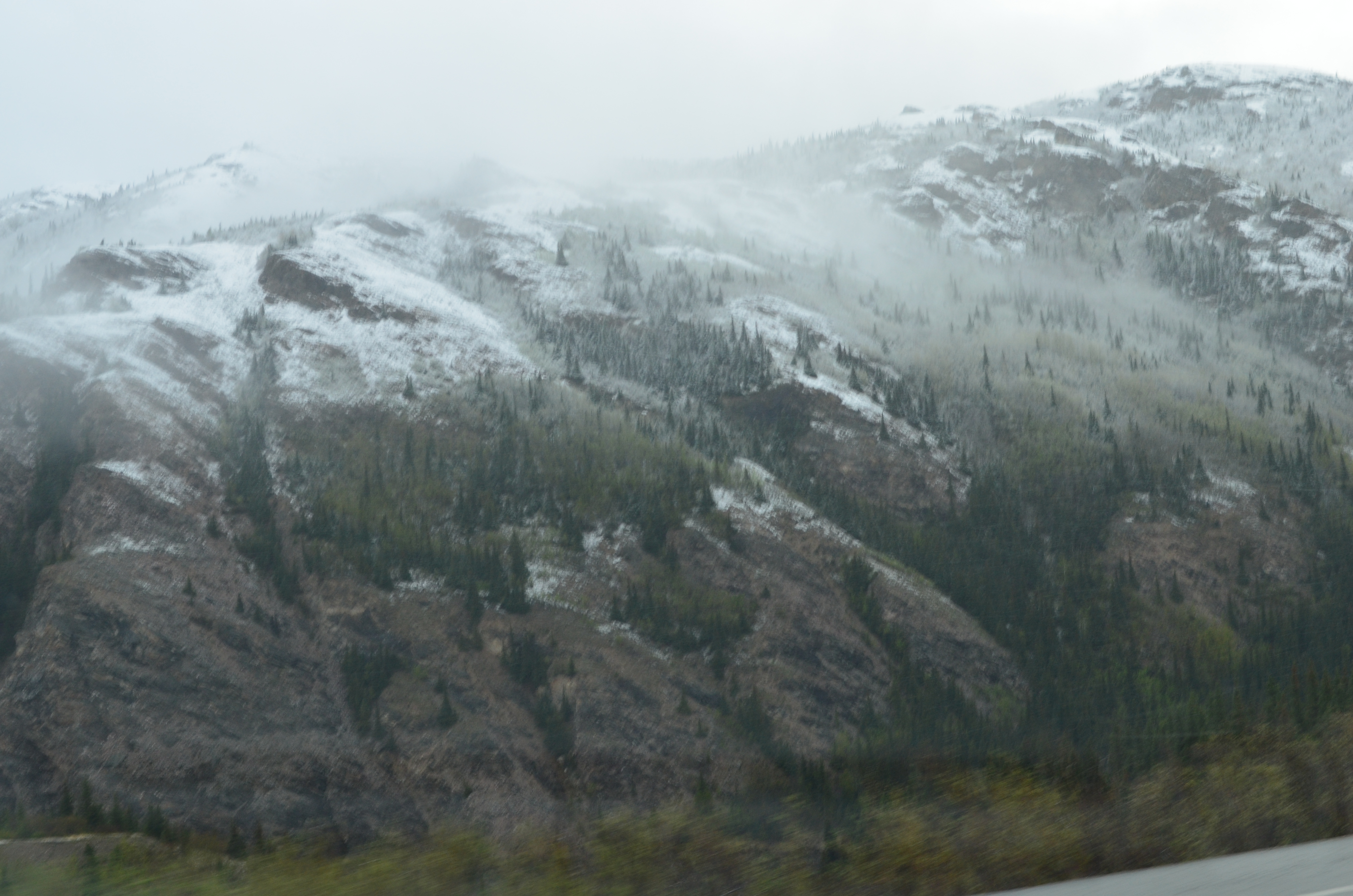 ./2017/08 - Alaska Cruise/03 - Denali/DSC_0191.JPG